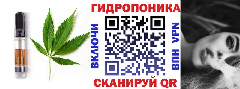кракен сайт  Стародуб  Canna-Cookies конопля 