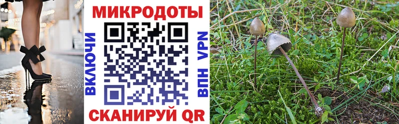 Галлюциногенные грибы ЛСД  Стародуб 