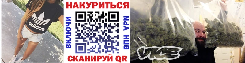 Канабис AK-47  Стародуб 